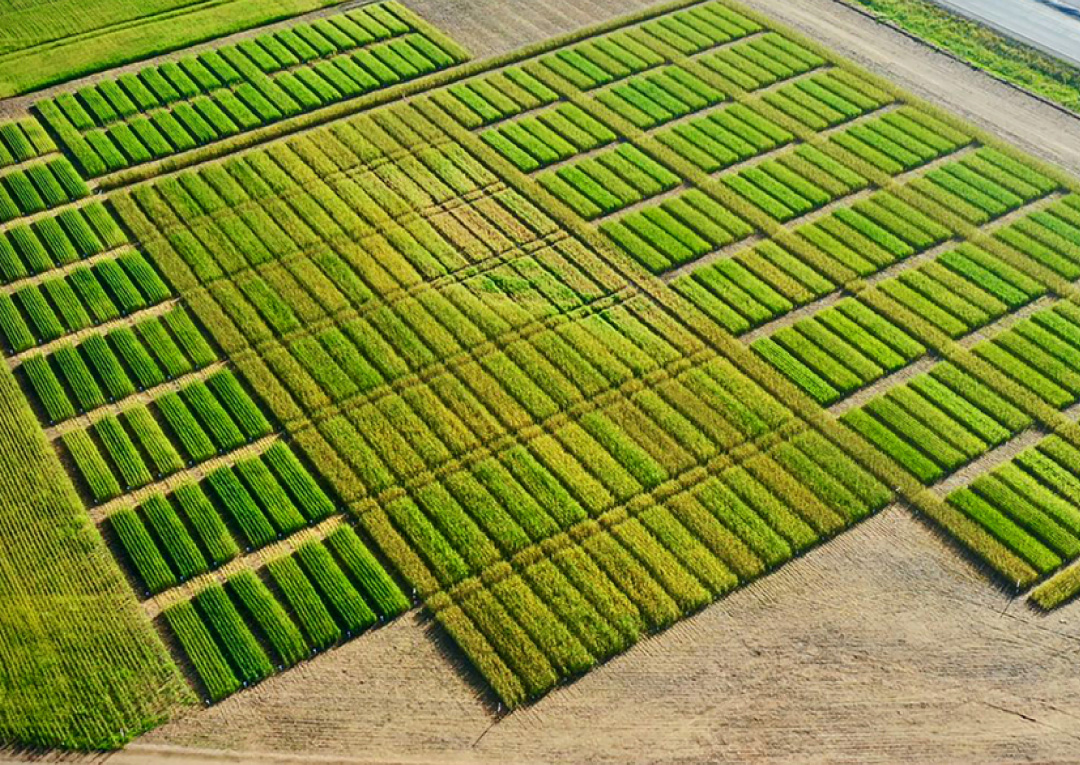 Inteligro | Trusted Intelligent Crop Solutions
